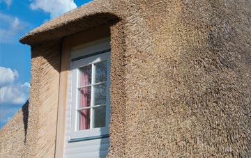Tregadillett thatch roof disadvantages